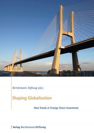 Cover of the book Shaping Globalization by Bernhard Badura, Mika Steinke