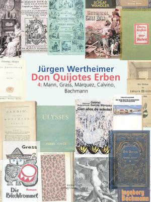 Cover of Don Quijotes Erben - Die Kunst des europäischen Romans