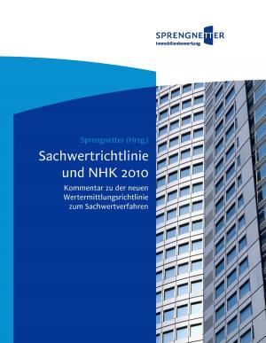 Book cover of Sachwertrichtlinie und NHK 2010