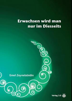 Cover of the book Erwachsen wird man nur im Diesseits by Ellinor Wohlfeil