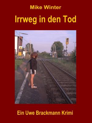 bigCover of the book Irrweg in den Tod. Mike Winter Kriminalserie, Band 13. Spannender Kriminalroman über Verbrechen, Mord, Intrigen und Verrat. by 