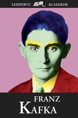 Cover of the book Franz Kafka by Dr. Maria Langwasser