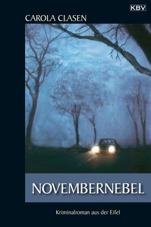 Cover of the book Novembernebel by Regine Fiedler