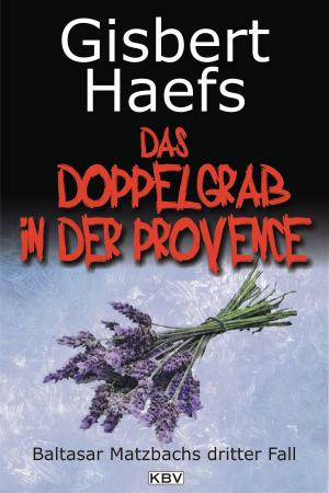 Cover of the book Das Doppelgrab in der Provence by Regine Kölpin