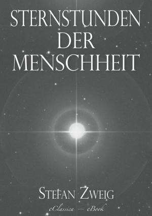 Book cover of Stefan Zweig: Sternstunden der Menschheit