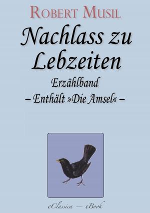 Cover of the book Robert Musil: Nachlass zu Lebzeiten by Georg Forster