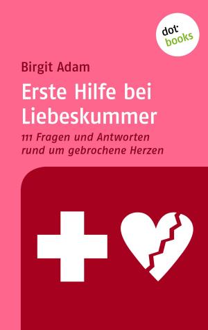 Cover of the book Erste Hilfe bei Liebeskummer by Wolfgang Hohlbein