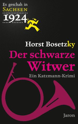Cover of the book Der schwarze Witwer by Horst Bosetzky, Uwe Schimunek