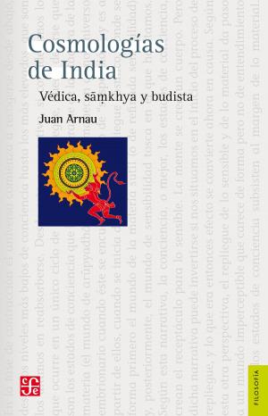 Cover of the book Cosmologías de India by Martha Riva Palacio Obón