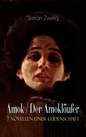 Cover of the book Amok / Der Amokläufer. 7 Novellen einer Leidenschaft by Bettina von Arnim