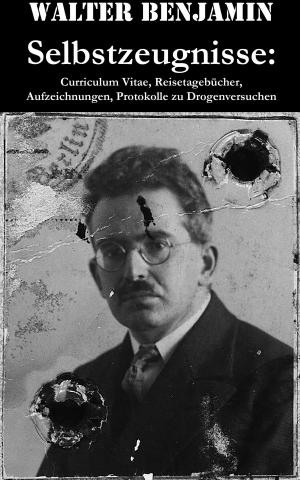 Cover of the book Selbstzeugnisse: Curriculum Vitae, Reisetagebücher, Aufzeichnungen, Protokolle zu Drogenversuchen by Emile Zola
