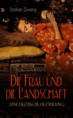 Cover of the book Die Frau und die Landschaft (Eine Erotische Erzählung) by Johann Wolfgang von Goethe