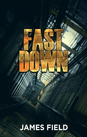 Cover of the book Fast Down by James Field