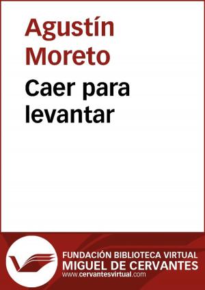 Cover of the book Caer para levantar by Manuel José Othón