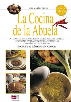 Cover of the book La cocina de la abuela by Escuela de Idiomas De Vecchi