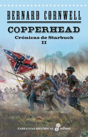 Book cover of Copperhead
