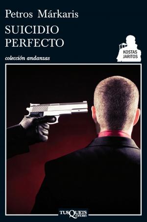 Cover of the book Suicidio perfecto by Silvia García Ruiz