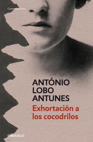 Book cover of Exhortación a los cocodrilos