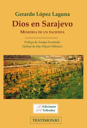 Cover of the book Dios en Sarajevo by Robert J Day