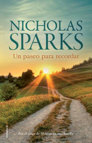Cover of the book Un paseo para recordar by David Artime