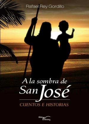 Book cover of A la sombra de San José: (Cuentos e historias)