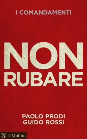 Cover of the book Non rubare by Sabino, Cassese