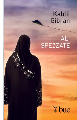 Book cover of Ali spezzate