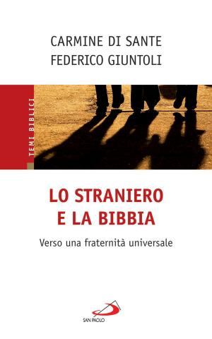 Cover of the book Lo straniero e la Bibbia. Verso una fraternità universale by Antonello Vanni