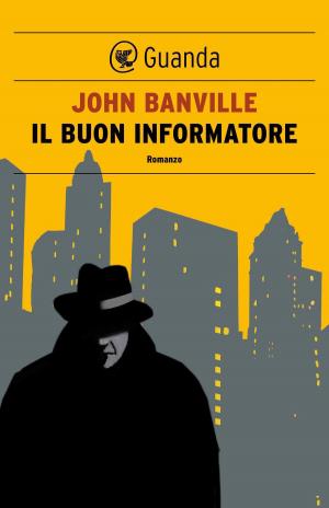 Book cover of Il buon informatore