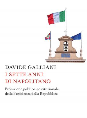 Cover of the book I sette anni di Napolitano by Manuela Brusoni, Niccolò Cusumano, Veronica Vecchi