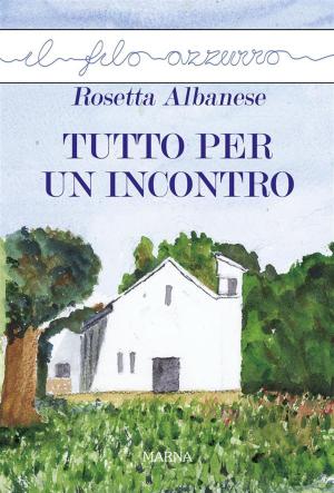 Cover of the book Tutto per un incontro by Rosetta Albanese