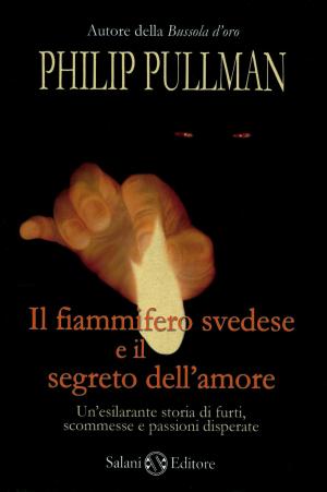 Cover of Il fiammifero svedese e il segreto dell'amore