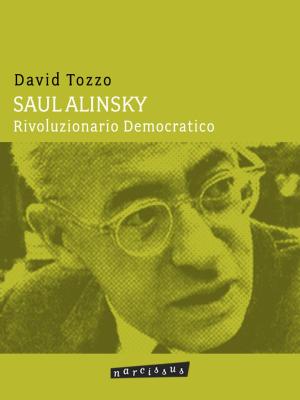 Cover of the book Saul Alinsky - Rivoluzionario Democratico by Σταύρος Γ. Νταγιος