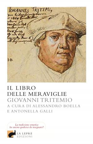 Cover of Il libro delle meraviglie