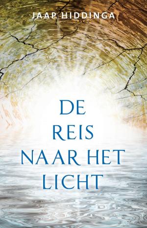 Cover of the book De reis naar het licht by Evelien van Dort
