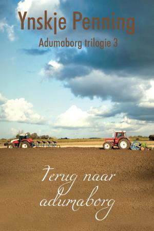 Cover of the book Terug naar Adumaborg by Hans Stolp, Harm Wagenmakers