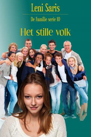 Cover of the book Het stille volk by Raymond Crane