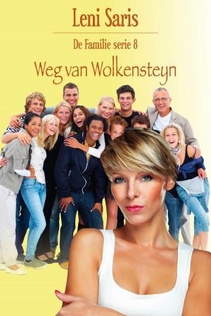 Cover of the book Weg van Wolkensteyn by Shanna Swendson