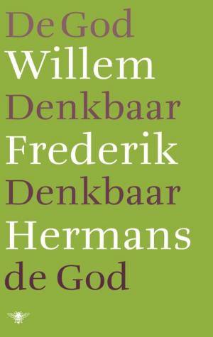 Cover of the book De God denkbaar, denkbaar de God by Sytze van der Zee
