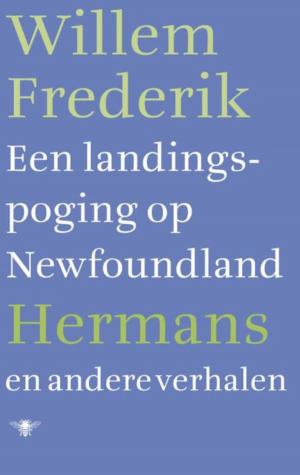 Cover of the book Een landingspoging op Newfoundland en andere verhalen by Thijs Lijster