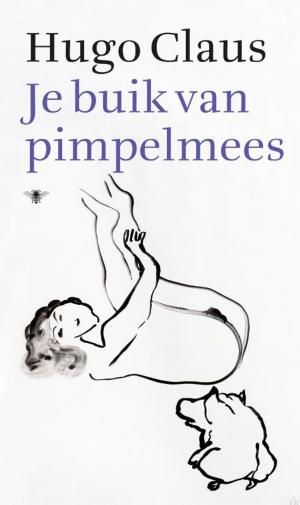 Cover of the book Je buik van pimpelmees by Youp van 't Hek