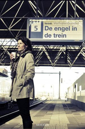Cover of the book De engel in de trein by J.D. Heemskerk