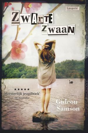 Cover of the book Zwarte zwaan by Yvonne Huisman