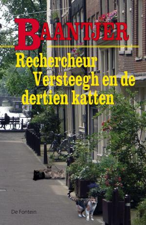 Cover of the book Rechercheur Versteegh en de dertien katten by Charles Butler
