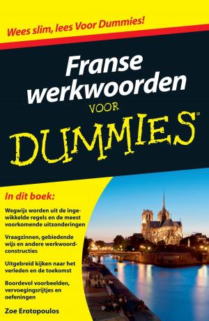 Book cover of Franse werkwoorden voor Dummies, pocketeditie
