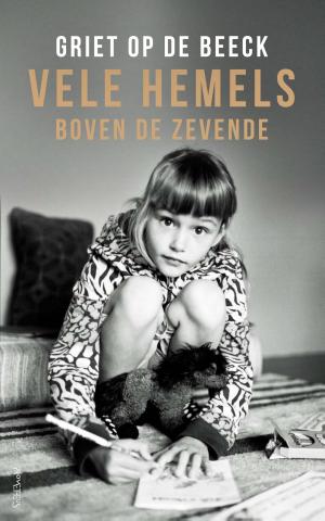 Cover of the book Vele hemels boven de zevende by Wytske Versteeg