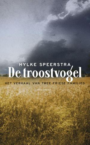 Cover of the book De troostvogel by Gerrit Jan Zwier