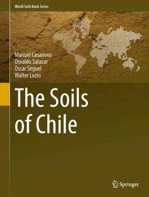 Cover of the book The Soils of Chile by Larry Catà Backer, Jan M. Broekman