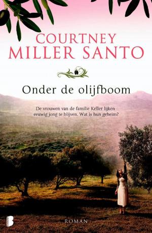Cover of the book Onder de olijfboom by Jennifer Probst