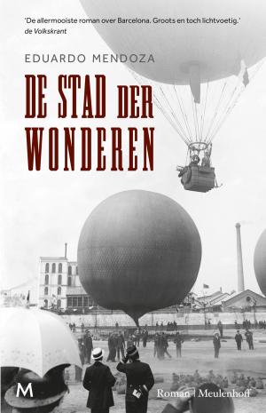 Cover of the book De stad der wonderen by Jennifer Probst